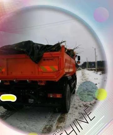 Фото Вывоз мусора, вывоз тбо
