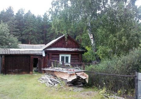 Фото Домик у соснового леса в п.Черкаскуль.