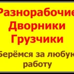 Дворники/Разнорабочие 