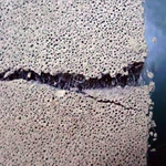 Фото №8 Фибра 12мм волокно для стяжки пола штукатурки стен, пеноблок, армирования бетона