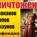 Дезинсекция дератизация уничтожение тараканов блох