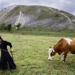 Фото №6 Участок на Дону