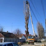 Фото №4 Спил обрезка деревьев