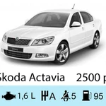 Фото №9 Аренда авто в Стерлитамаке