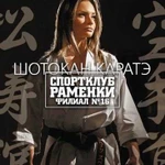 Спортивная секция олимпийского Каратэ