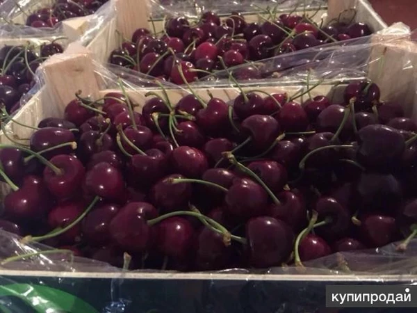 Фото Продаем черешню