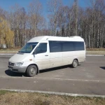 Фото №3 Поездки на рынок Люблино и Садовод в Москву 