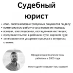 Судебный юрист с опытом более 13 лет