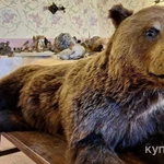 Фото №2 Чучела диких животных