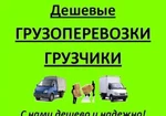 фото Профессиональные квартирные и офисные переезды!