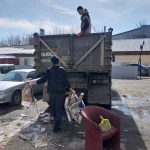 Фото №3 Вывоз мусора, Газель, ЗИЛ, КамАЗ, Грузчики