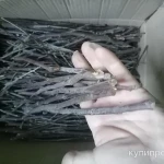 Фото №3 Веточки айвы дикорастущей. Цена за 100 грамм.