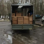 Фото №4 Грузчики 