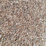 фото Лен коричневый