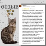 Фото №6 Гостиница для кошек САТ СIТY