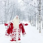 Фото №3 Дед Мороз и Снегурочка на дом