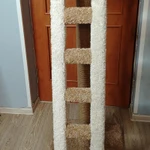 Фото №3 Когтеточка для кошек