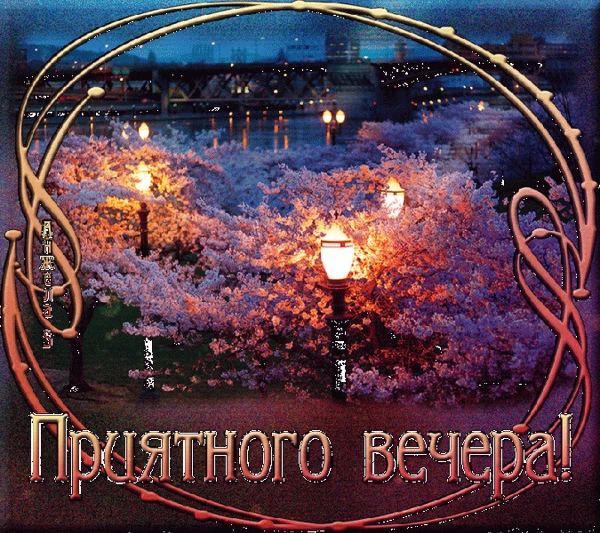 Фото Компьютерная помощь