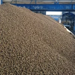 Фото №3 Сухая пивная дробина