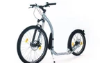 фото Самокат Kickbike Cross MAX 20 D silver