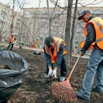 Фото №3 Уборка дворов и прилегающих территорий