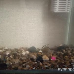 Фото №2 800 продою рыбок с полным комплектом будет торг