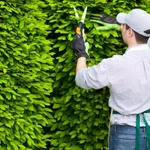 Фото №2 Работа садовником Воронеж. Чертовицы, Девица, Никольское.