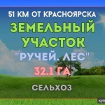 Фото №8 ⭕ЗЕМЛЯ 32,1га. ЛЕС, БОЛЬШОЙ РУЧЕЙ.