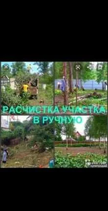 Фото Расчистка участников