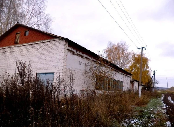 Фото Зданиие мельницы Альшеевский район, Башкортостан