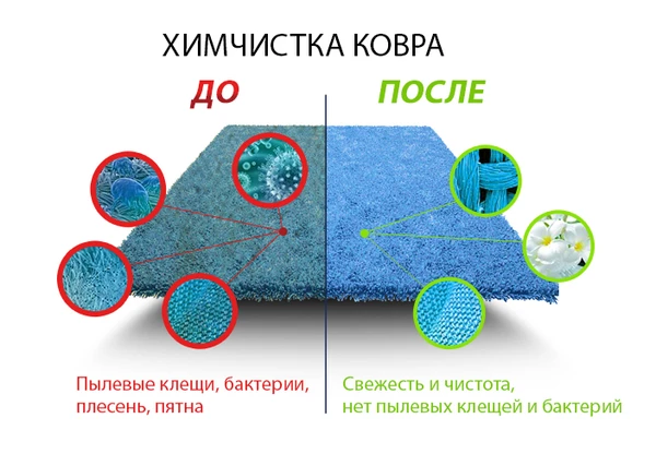 Фото Химчистка, стирка ковров
