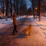 Фото №5 Передержка собак. Со мной ваш любимец будет как дома!
