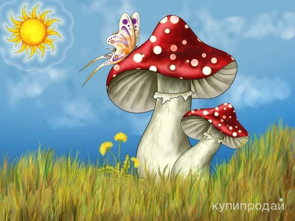 Фото Сыроежка красная сушеная