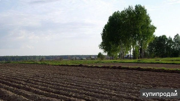 Продам земельный участок 98 Га.