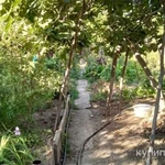 Фото №5 Лот  73944 Продаётся участок с домом, расположенный в Гагаринском районе, в