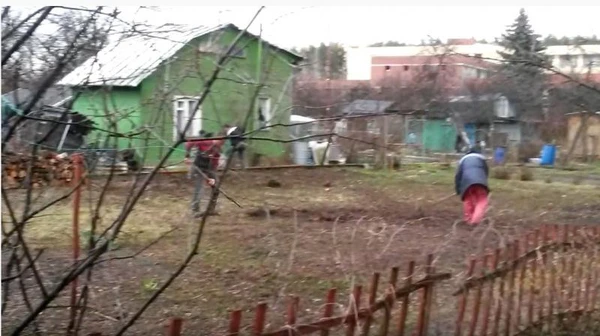 Фото НЕ ПЛАТИТЕ ЗА ФУФЛО... закопали ботинками пни и уехали.