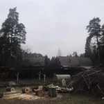Фото №2 Спил, Удаление, Обрезка деревьев, Раменский район