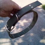 фото ошейник