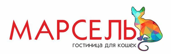 Фото Гостиница для кошек в Коломне
