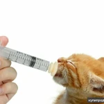 Фото №2 Соски для кормления животных