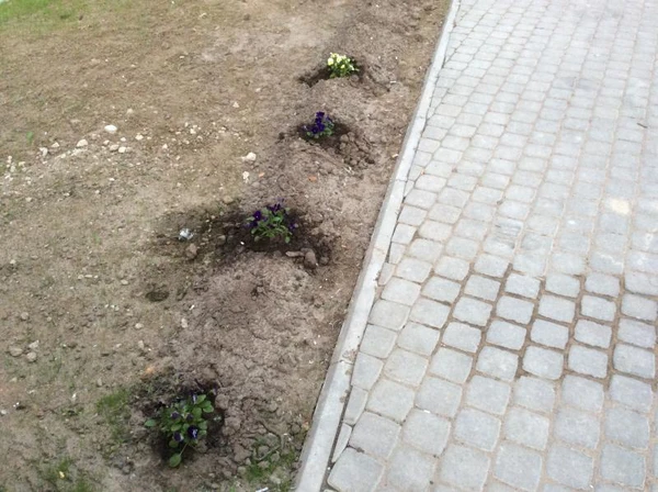 Фото Устройство дорожек, парковок, навесов. Дренаж участка
