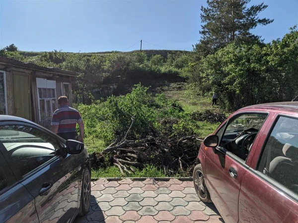 Фото спил деревьев Энгельс
