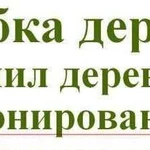 Расчистка участка и установка забора,спил,слом