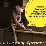 Косметология. Шугаринг. Мезотерапия