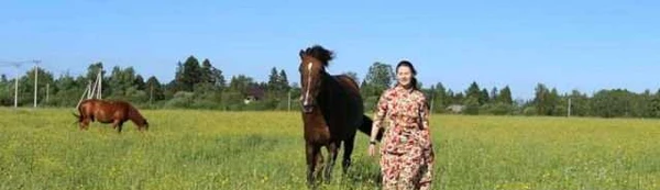 Фото Занятия с лошадью без верховой езды