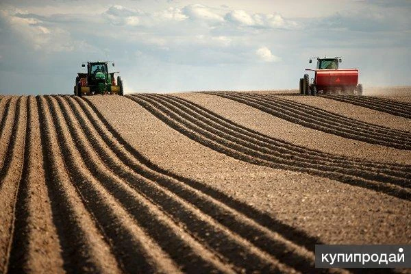 Фото Агро хозяйство в Крыму. Участок Площадью 4.220 гектаров