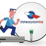 Фото №2 Ремонт и настройка спутниковых антенн