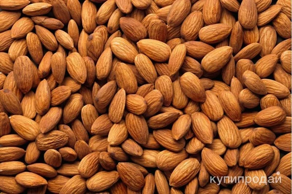 Фото Миндаль