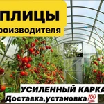 Теплицы оцинкованные,крашенные,всех размеров