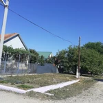 Фото №2 Спил деревьев